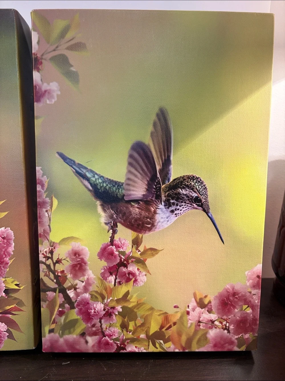 Hummingbird Floral Canvas Wall Art Set - Pink & Green - Picture 3 of 10